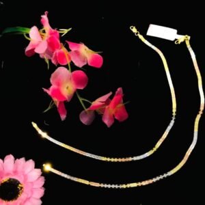 Sliver Payal