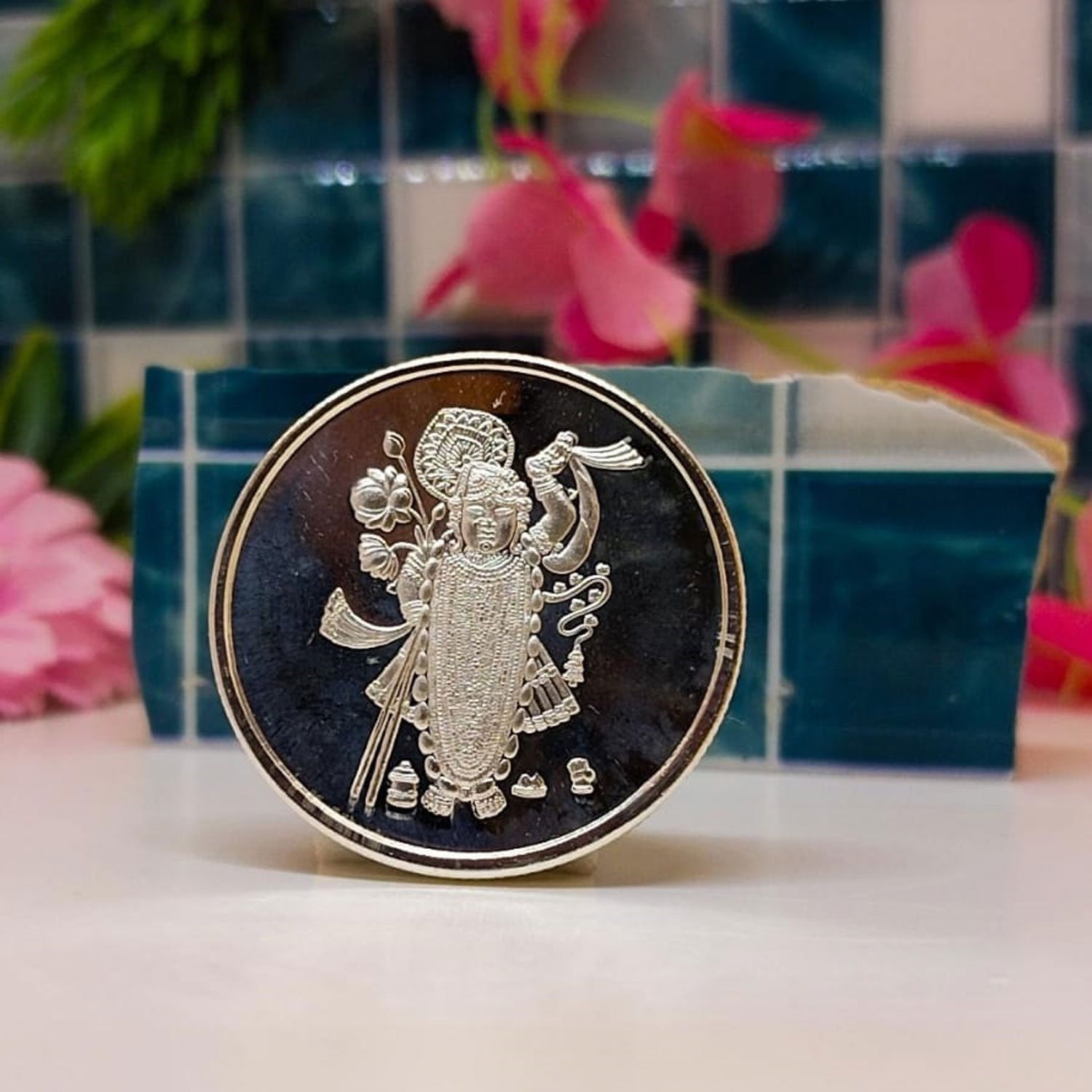 Shreenathji Coin